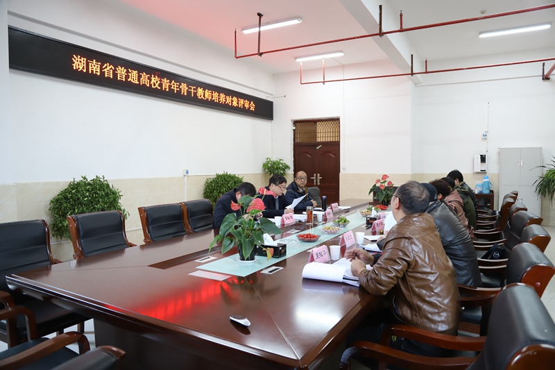 我校召开2019年度湖南省普通高校青年骨干教师培养对象评审会